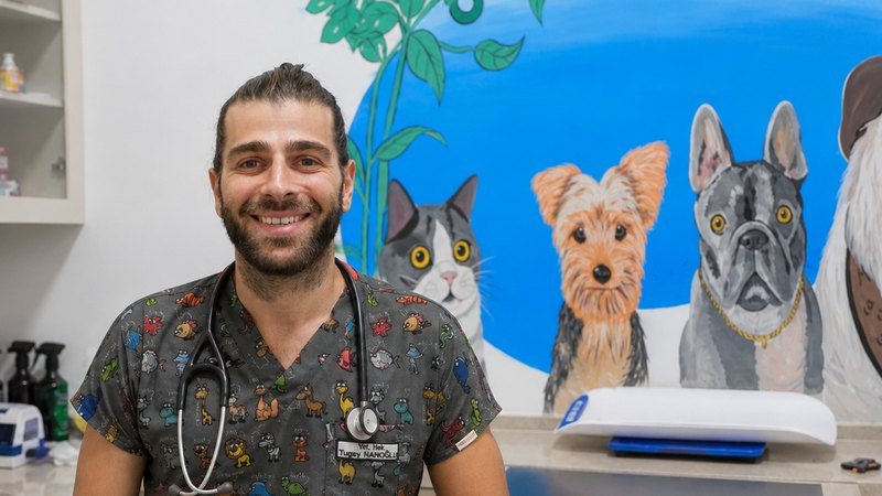 İnanoğlu Veteriner Kliniği sosyal medya çalışmaları